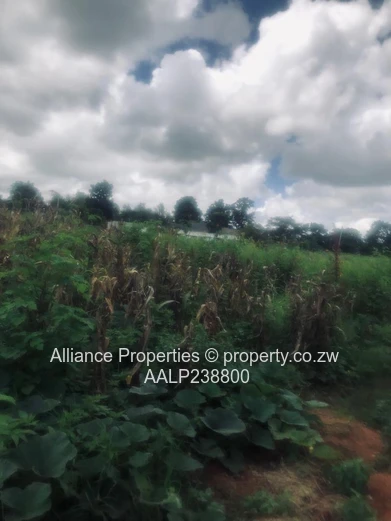 Elite Address, Infinite Potential: Prime Acre Stand in Borrowdale