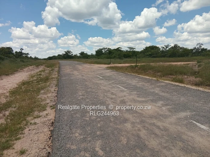 Plumtree Stands Now Available (Mavuka Heights)