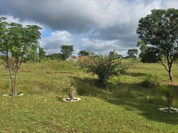 Farm & Agricultural Land
