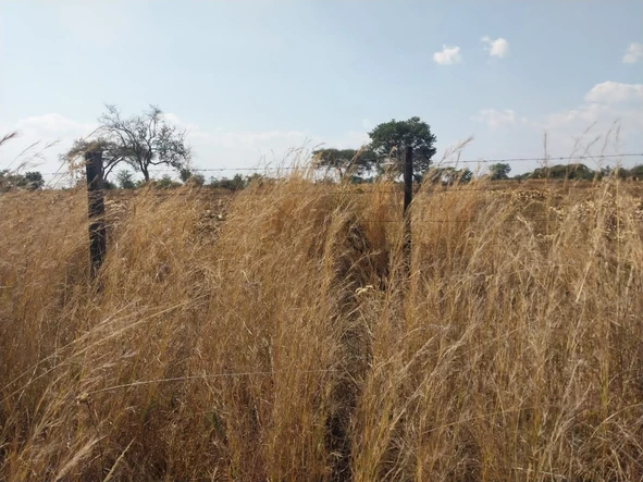 Farm & Agricultural Land