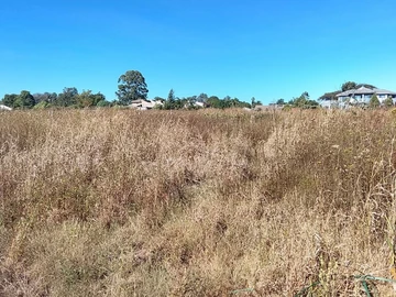 Land