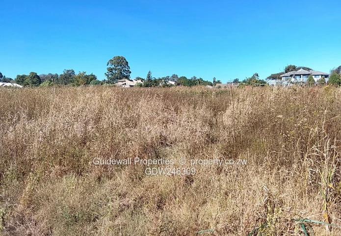 5000sqm stand for sale in Blufhill