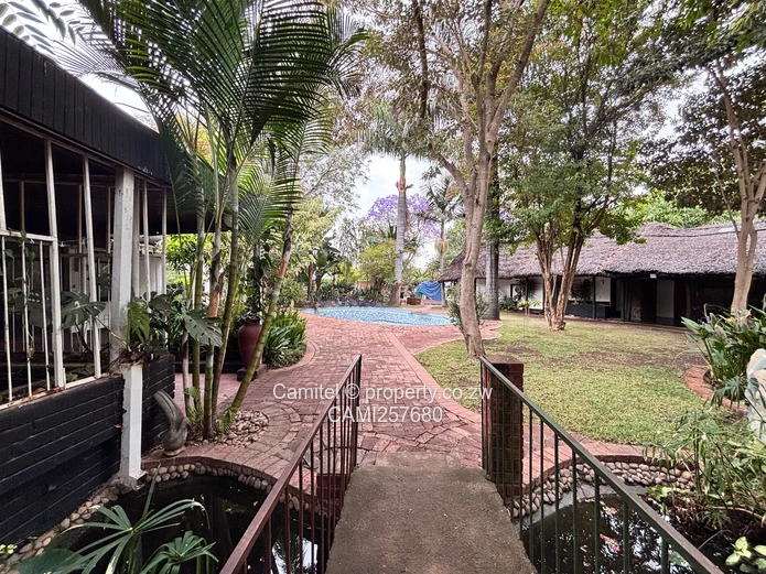 Newlands exceptional, versatile property