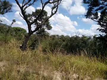 Farm & Agricultural Land