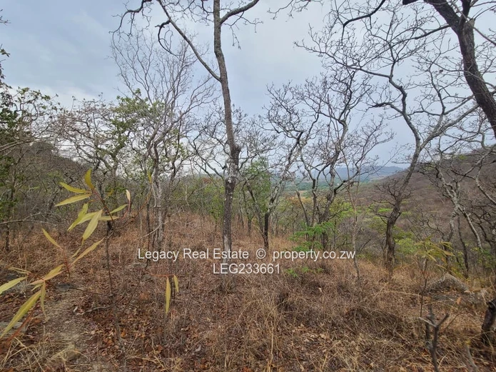 Prime 1.6-Hectare Plot for Sale in Christon Bank