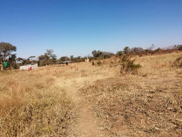 Farm & Agricultural Land