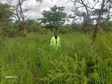 Farm & Agricultural Land