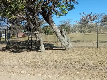 Farm & Agricultural Land