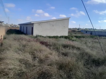 Shop & Retail Property