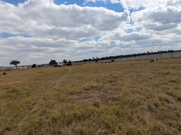 Agro Residential Plot for Sale in Ruwa