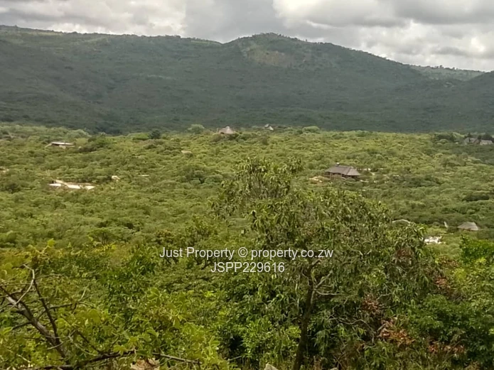 Escape in the Serene Environment of Nyanga- Nyanga Agro Residential Plots