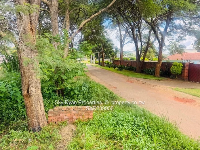 Mandara Land For Sale