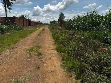 Build Your Dream Home