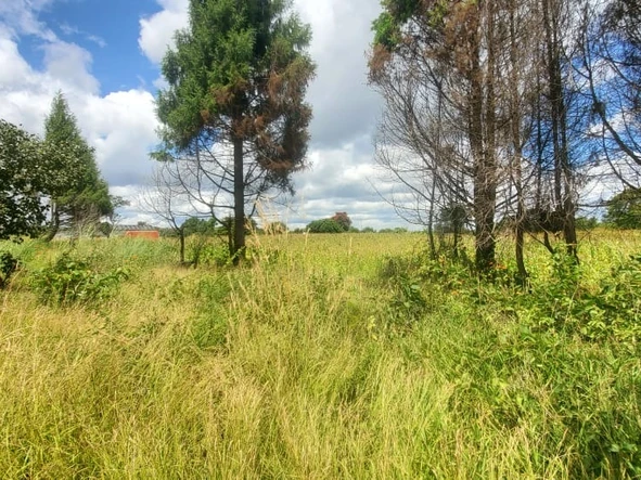 Farm & Agricultural Land