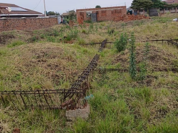 Stands & Residential Land