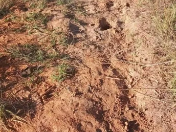 Farm & Agricultural Land