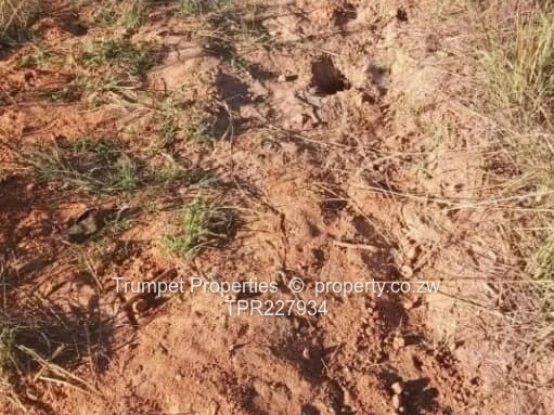 Plot For Sale (Sole Mandate)