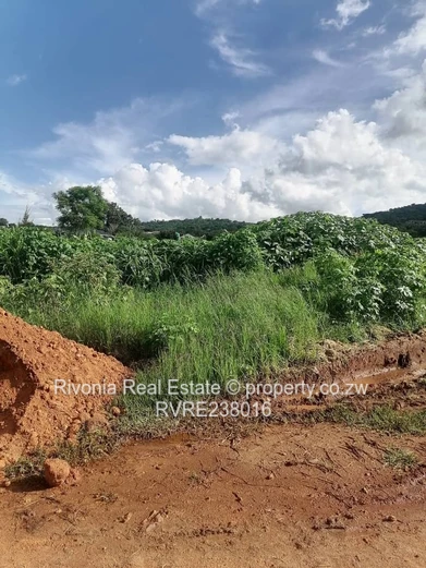 Glen Lorne stand 2000sqm 