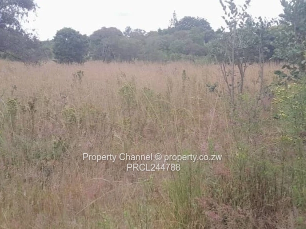 Prime Flat Agro Plot – Ideal for Farming, dwelling & Investment