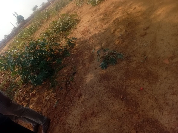Commercial & Industrial Land