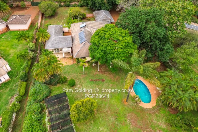 Golden Oldie Great Potential  (Sole Mandate)