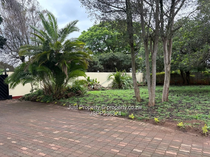 Neat Modern House To Rent