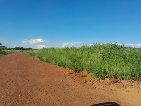 Stands & Residential Land