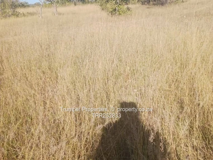 5ha Arable Grazing Farm in Goromonzi - Gravel Access (Sole Mandate)