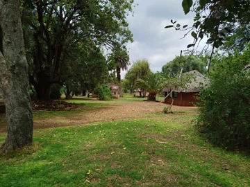 Farm & Agricultural Land