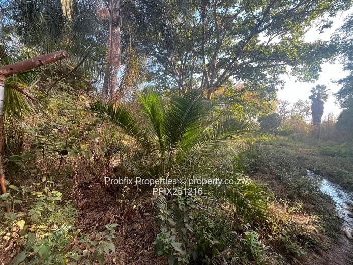 Prime Commercial Land For Sale In Avondale