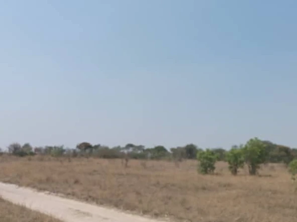 Farm & Agricultural Land