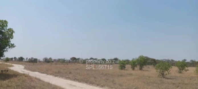 5.2 hectares Farmland. (Sole Mandate)