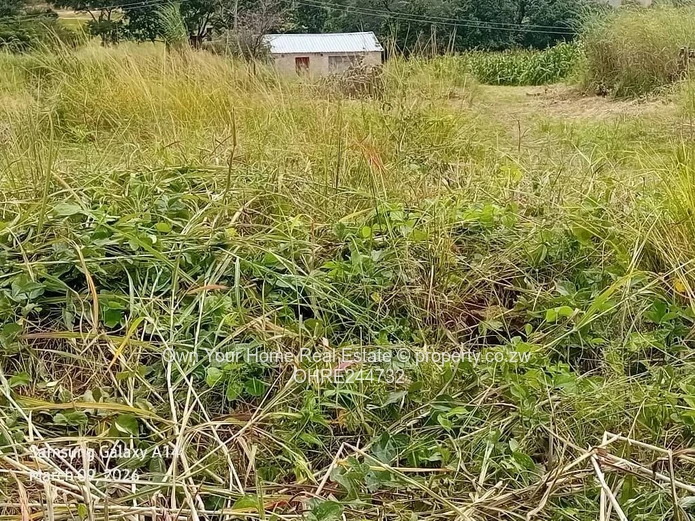 Charlotte brooke stand with cottage for sale 