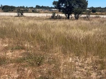 Commercial & Industrial Land