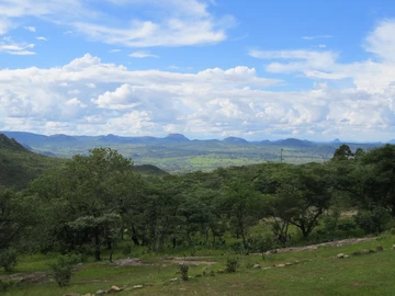 29 Acres of beautiful land in Juliasdale 