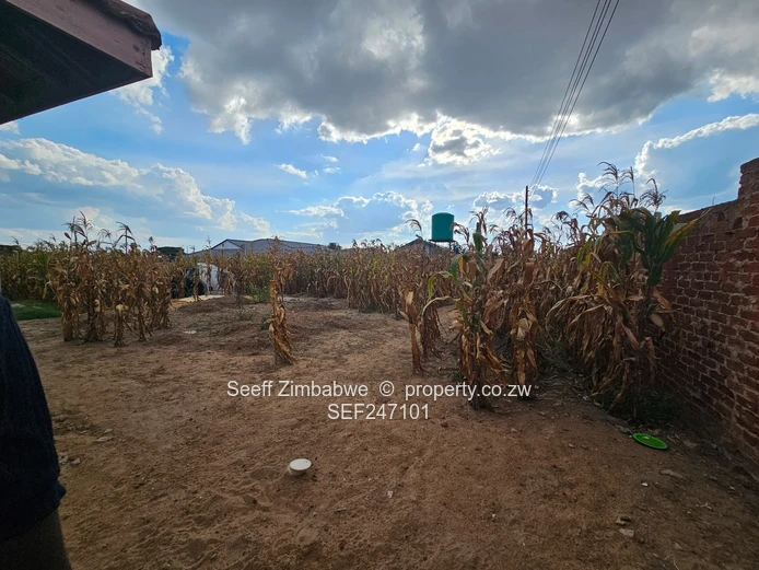 Zimre Park: 3-Bed Cottage Home on 2000m²