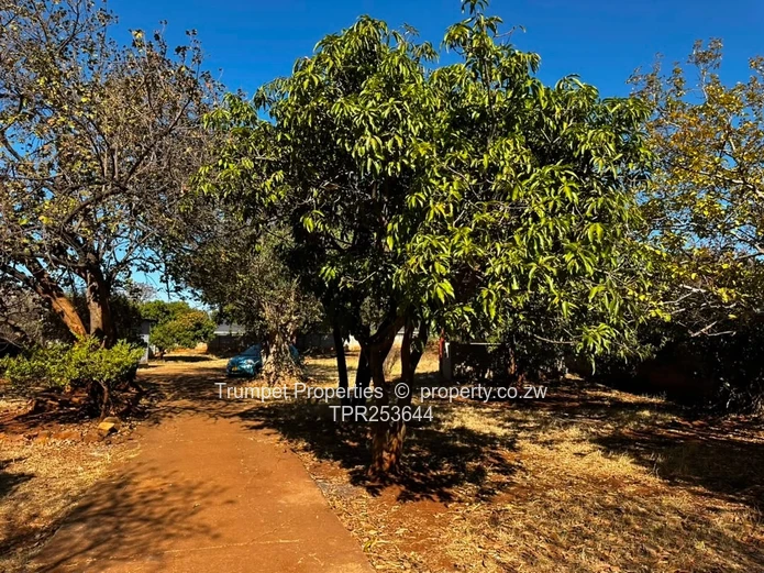 Eastlea: 3-Bed Home on 2,526 m² — Walled, Verandah