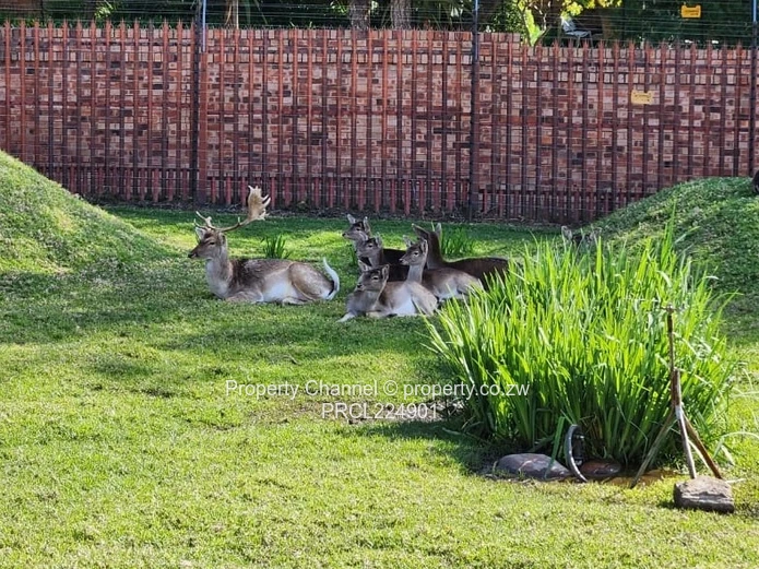 3 Bed apartment in Randpark Ridge, Johannesburg, South Africa