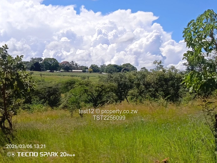 Chemagora Farm Sale