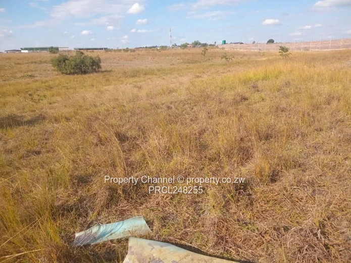 5,000 sqm Level Plot in 8km west of Gweru CBD — Open Grass, Adjacent Walled Property