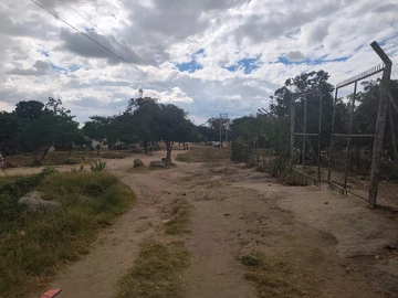 Shop & Retail Property