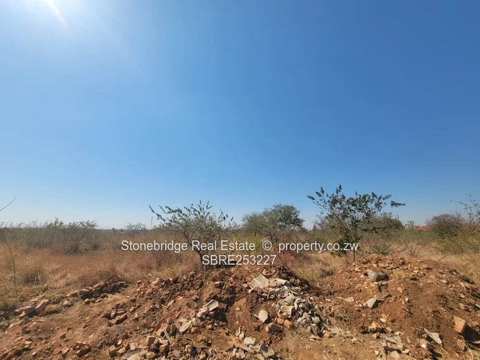 1 Acre Buena Vista Stand For Sale