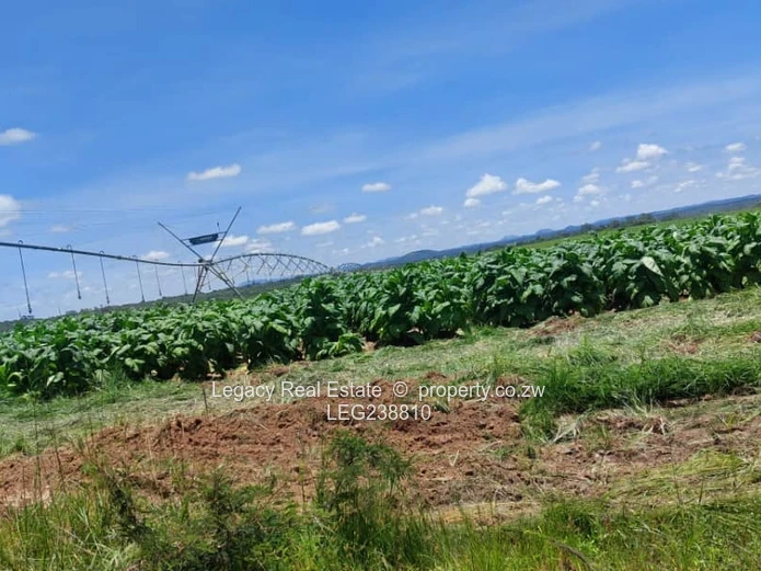 Prime Land Holding Opportunity,Goromonzi Agricultural Plots for Sale