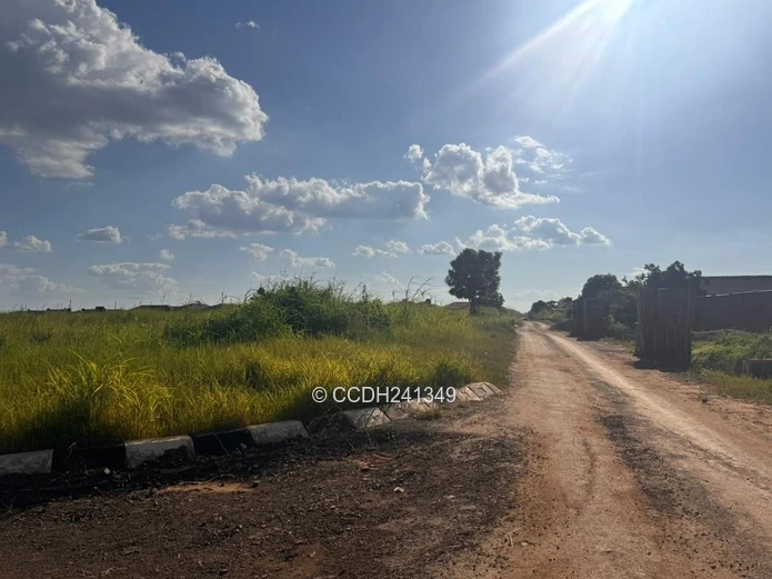 Glaudina Stands For Sale (Sole Mandate)