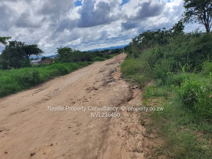 Crowhill Palm Villers 