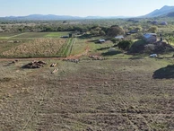 Farm & Agricultural Land