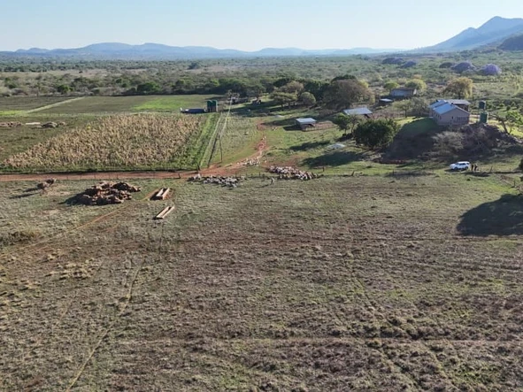 Farm & Agricultural Land