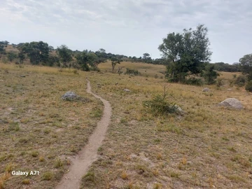 Farm & Agricultural Land