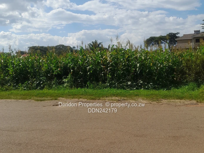 Build your dream home 