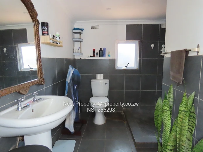 Position and Potential in Alexandra Park!